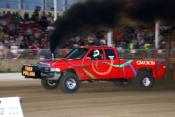 6 dalton tarr_500x333.jpg